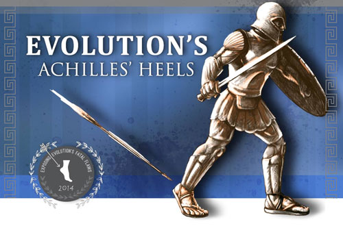 Evolution-achilles-heels