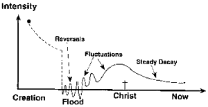 Graph of magnetic field decay over time, showing reversals and fluctuations