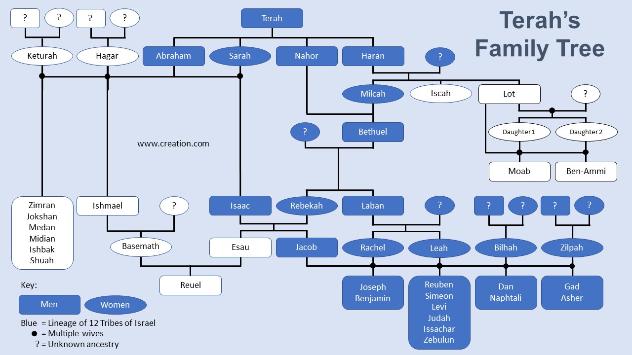 Abraham Bible Family Tree