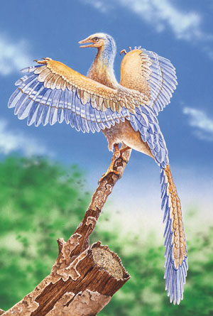 archaeopteryx