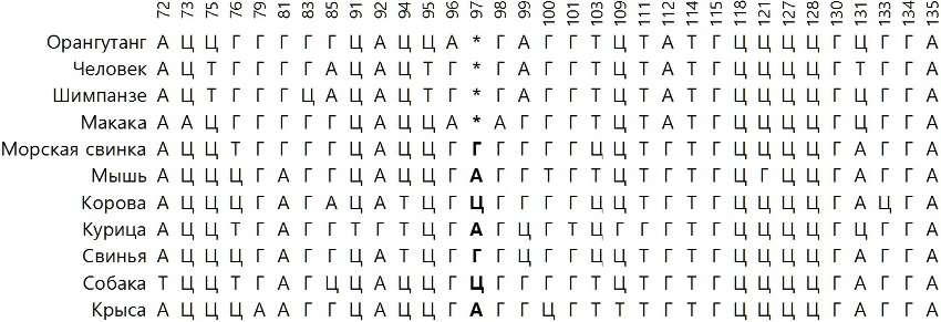 8283mutations