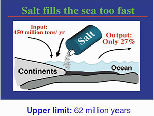 The rate sodium enters and leaves the sea