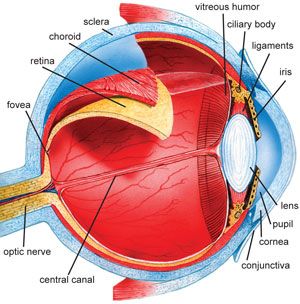 eye-diagram