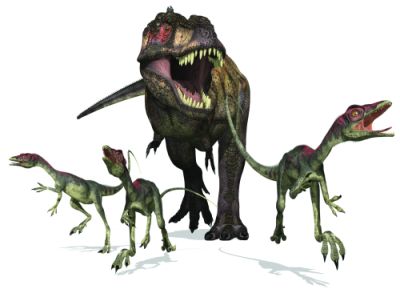 Dinosaurs Falsify Evolution Creationcom - 