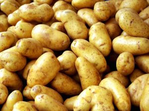 562potatoes