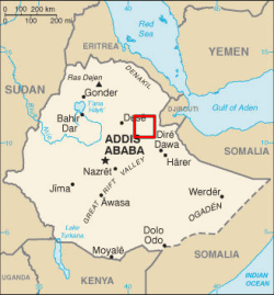 4654dikika_map