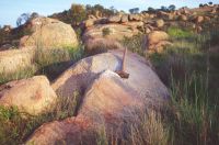 Granite outcrop