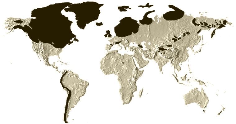 ice-age-extent-1