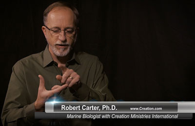 Robert-Carter