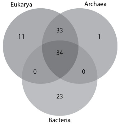 Eukarya-Archaea-bacteria