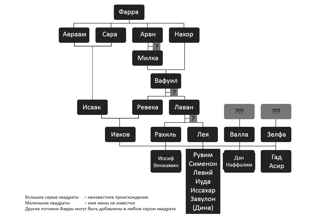 genealogy