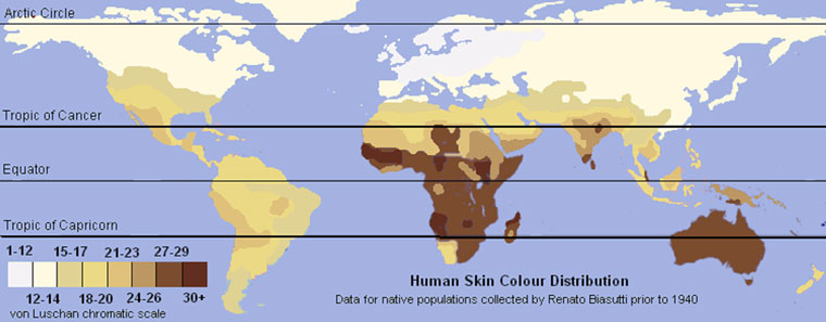 human-skin-colour-distribution