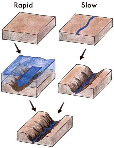 hypotheses