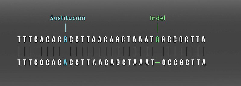 13485-indels