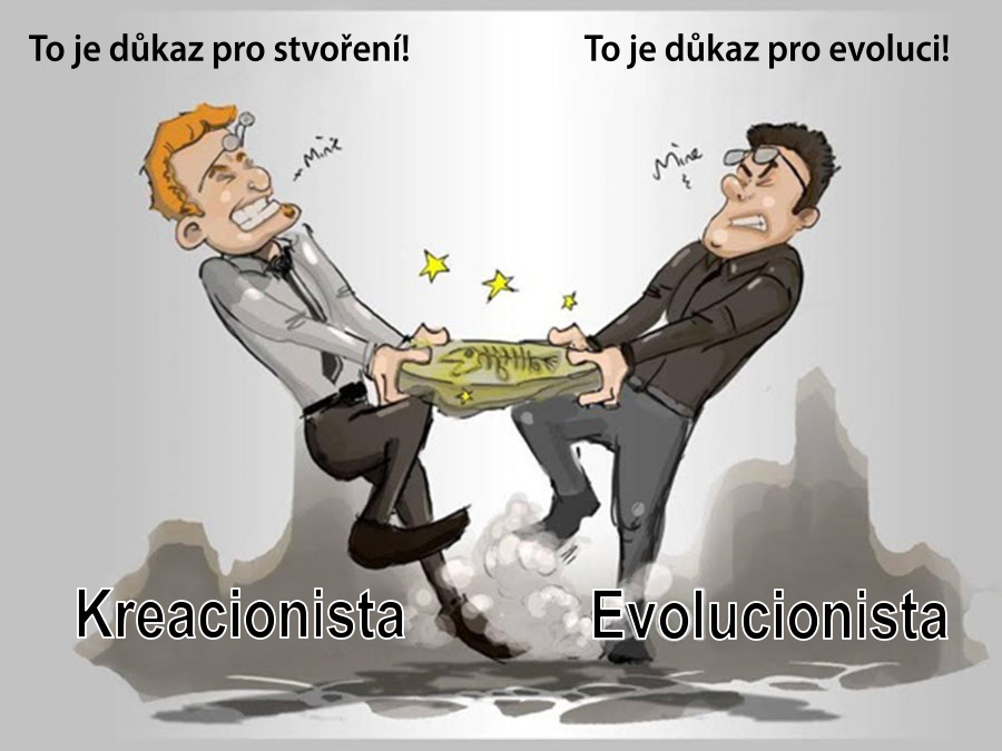 creationist-evolutionist