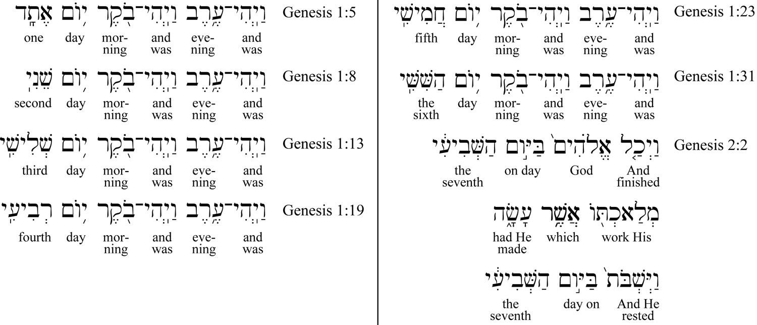 genesis 6 hebrew to english transliteration