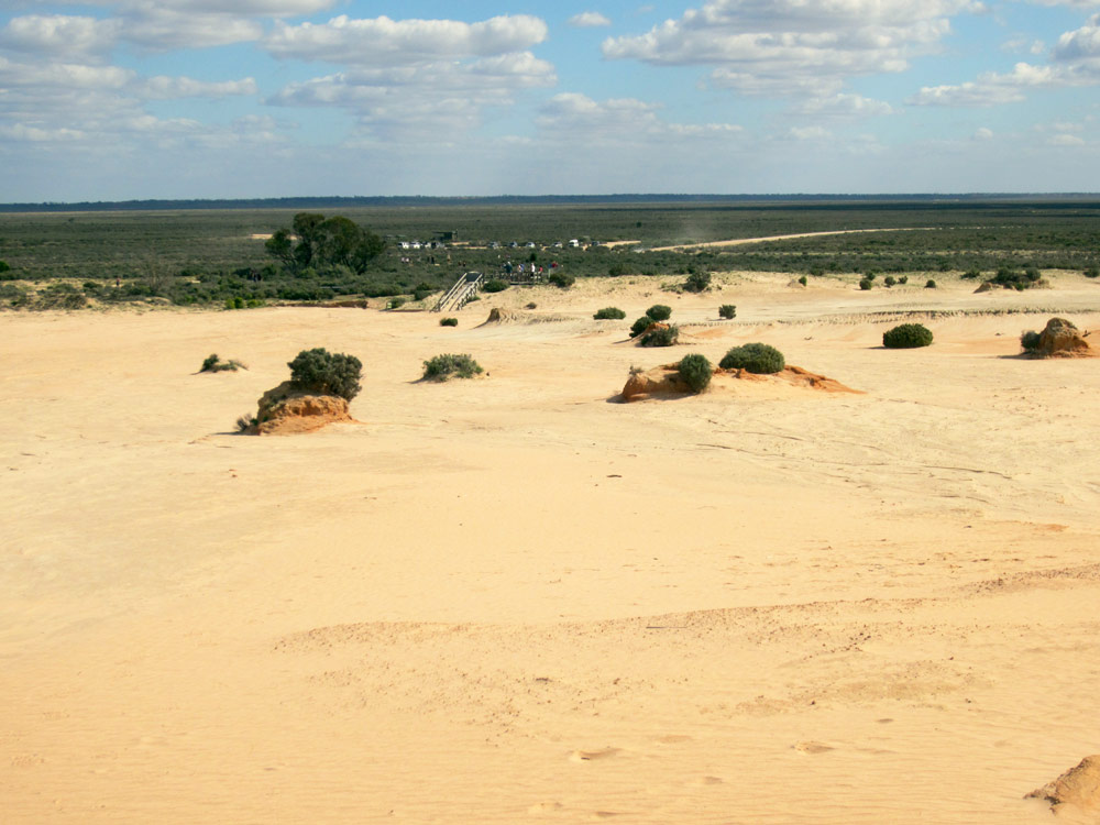 Paleoanthropology in Australia