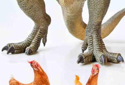 dinosaurs-size