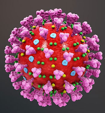 coronavirus