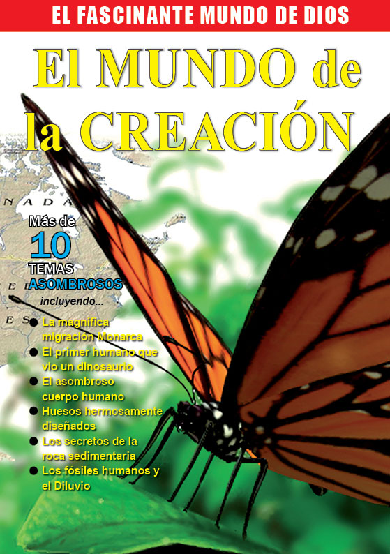 El Mundo de la Creación (World of Creation)