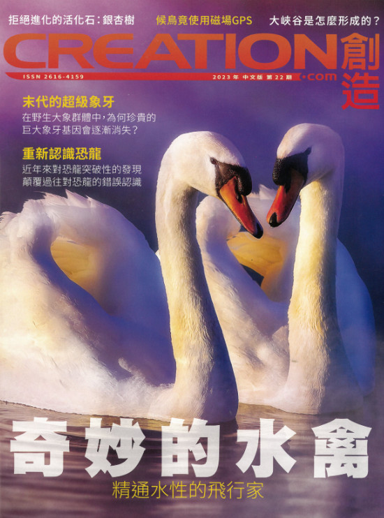 Creation magazine 創造雜誌 第22期 2023(22)