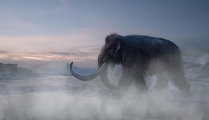 Could humans take down mammoths with spears?