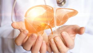 The non-evolution of the human liver