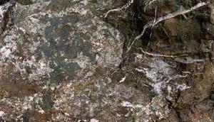 Archean Belts and Noah’s Flood