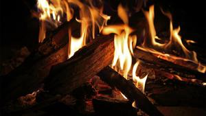 Developments in paleoanthropology no. 4