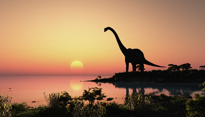 A living dinosaur? - creation.com